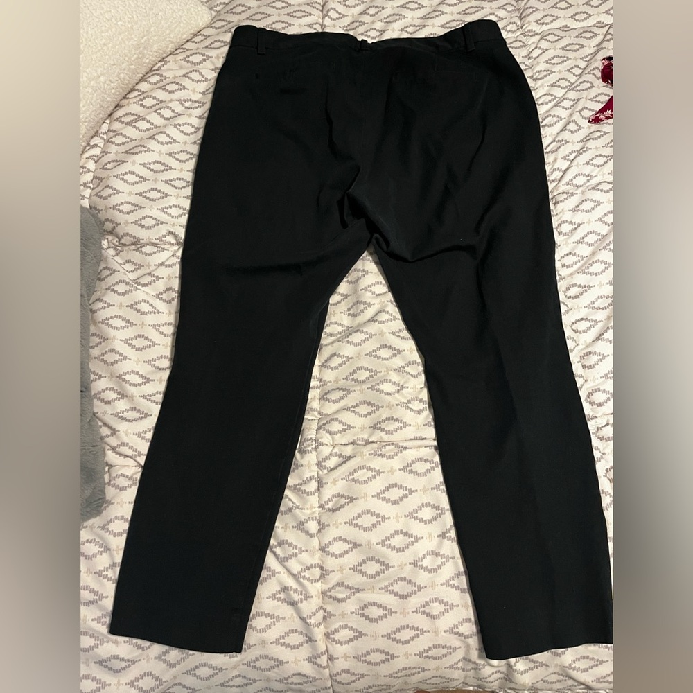 Dress pants